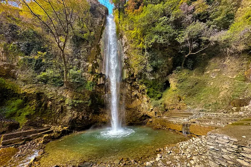 Tiger Fall trek — deodar forest trail in Chakrata