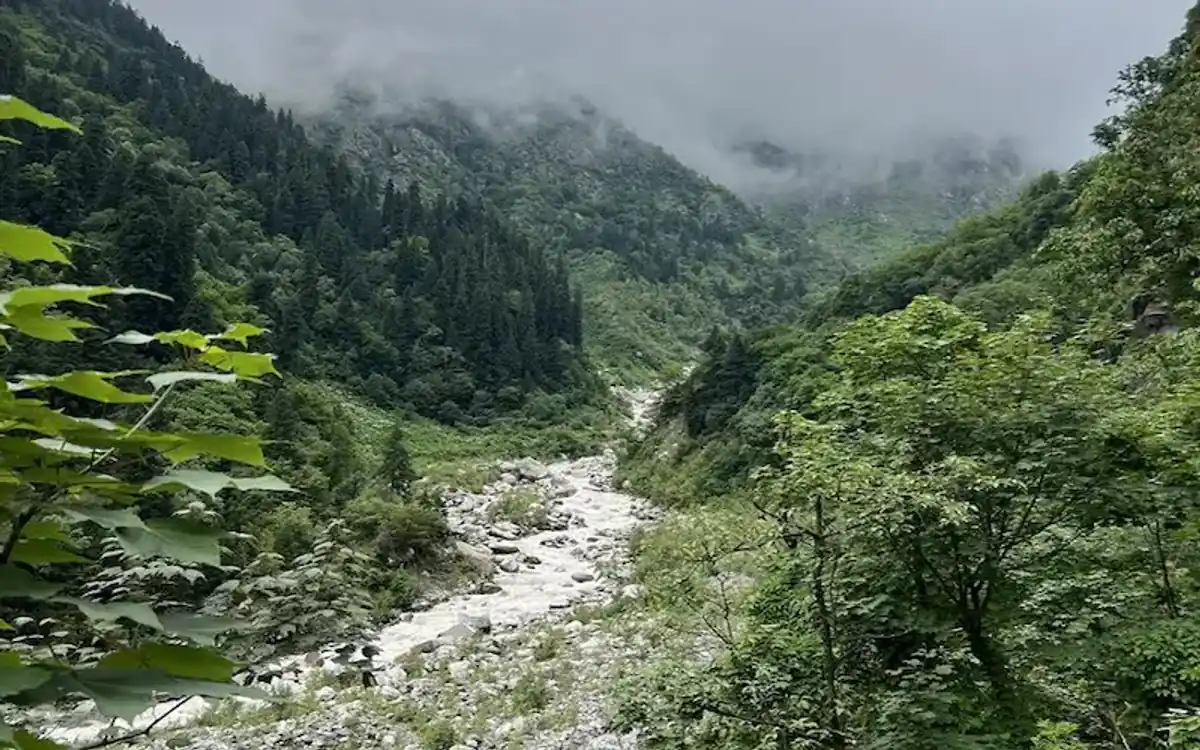 Mountain road winding through the Tons Valley towards Sankri village