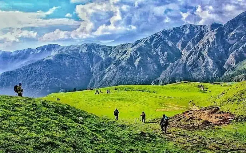 Ali Bugyal alpine meadow on the Roopkund trek route