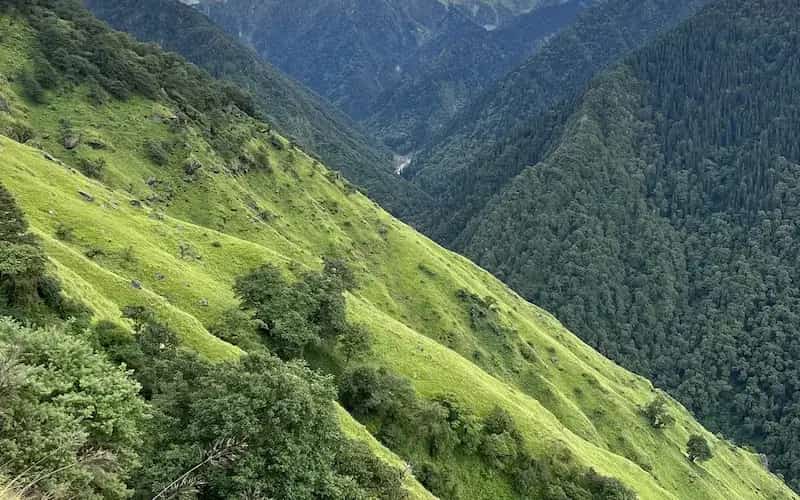 Trekkers passing through thick Himalayan oak forests