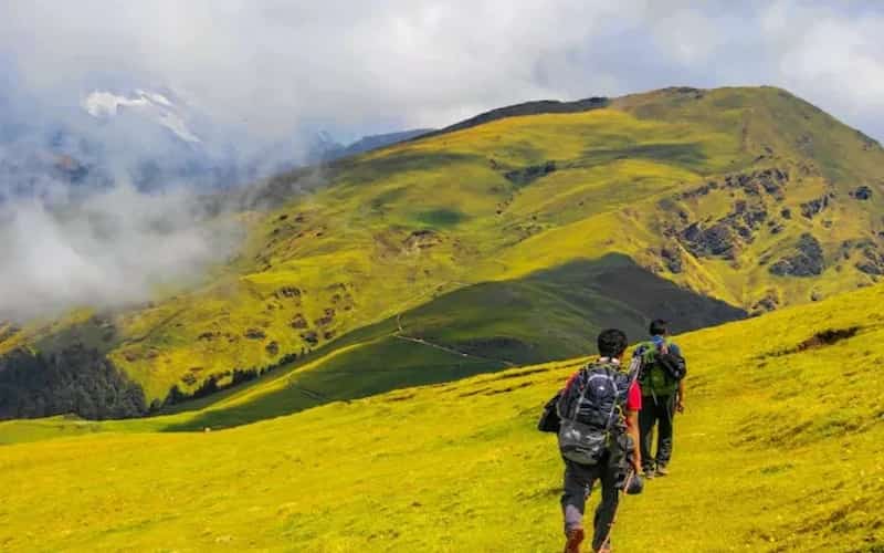 The sprawling, endless green expanse of Ali Bugyal