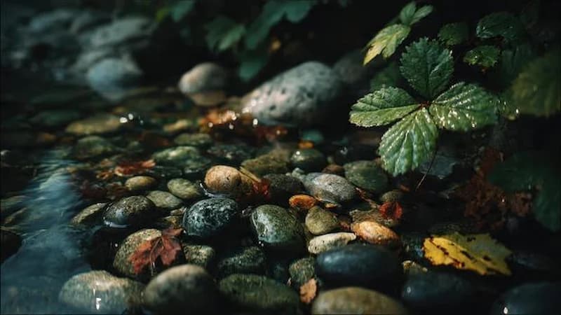 How nature inspires creative practice