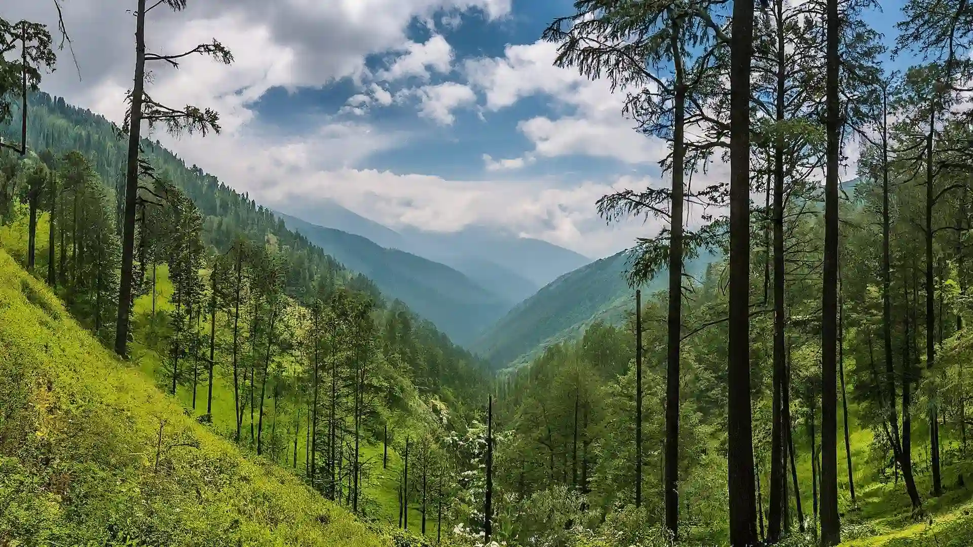 Himalayan valley and forest retreat setting