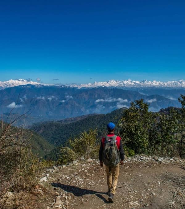 Quiet forest walk during a rest retreat — slow movement through deodar trees in the Himalayas