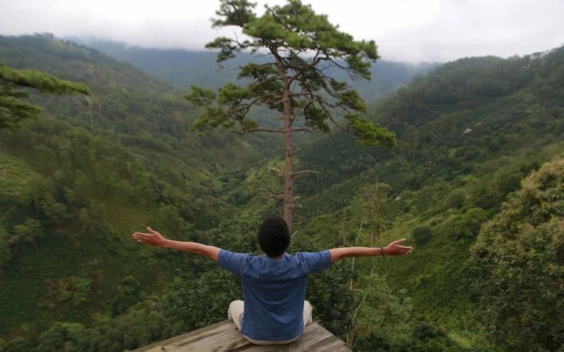Rest & Reset