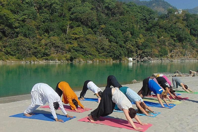 Yoga Retreats & Movement
