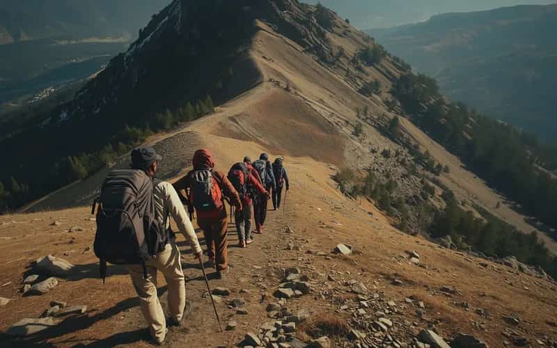 Descending from Brahmatal back to Lohajung through winter forest