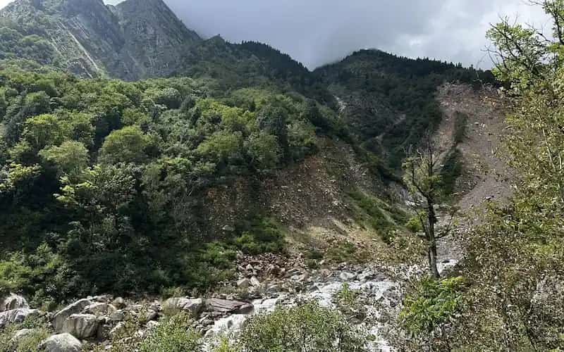 Trekkers hiking through the dense oak forests near Joshimath